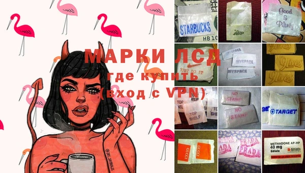 стаф Козельск