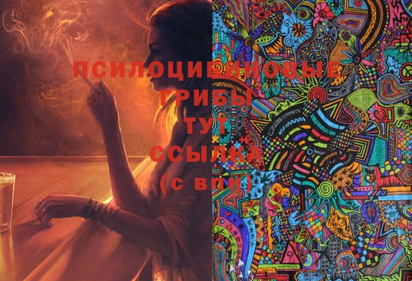 стаф Козельск