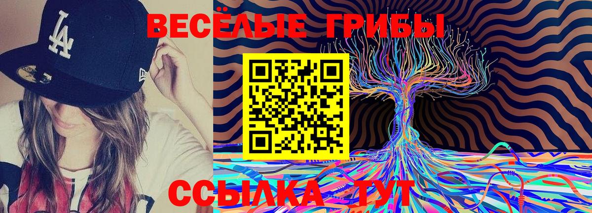 даркнет сайт  Псилоцибиновые грибы Psilocybe  Советская Гавань  Псилоцибиновые грибы Cubensis 