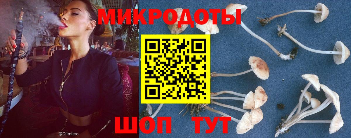 Галлюциногенные грибы Cubensis  Вход с VPN  как найти наркотики  Псилоцибиновые грибы прущие грибы  Советская Гавань 