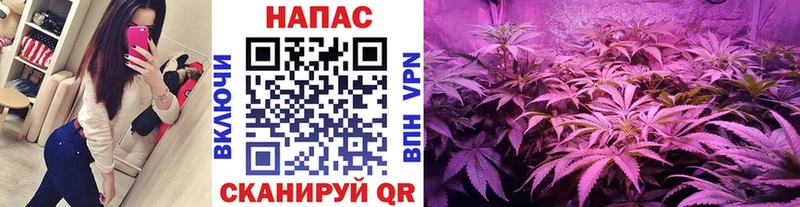 Каннабис планчик  Советская Гавань 